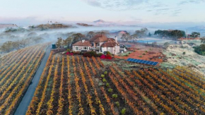 The Wine Country Villa
